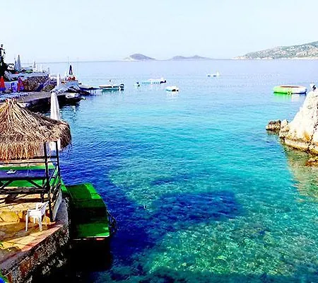 Willa Lorin Kalkan