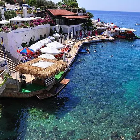 Lorin Kalkan